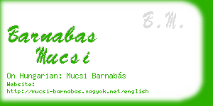 barnabas mucsi business card